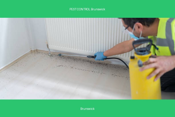 PEST CONTROL Brunswick